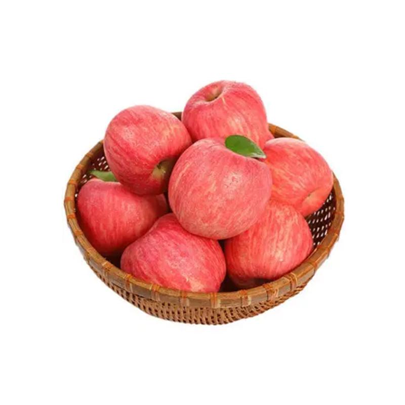 生鲜 水果 红富士 红富士苹果 3粒盒装/Fuji Apple 3 Pack