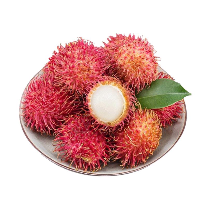 生鲜 水果 红毛丹500g/Rambutan500g