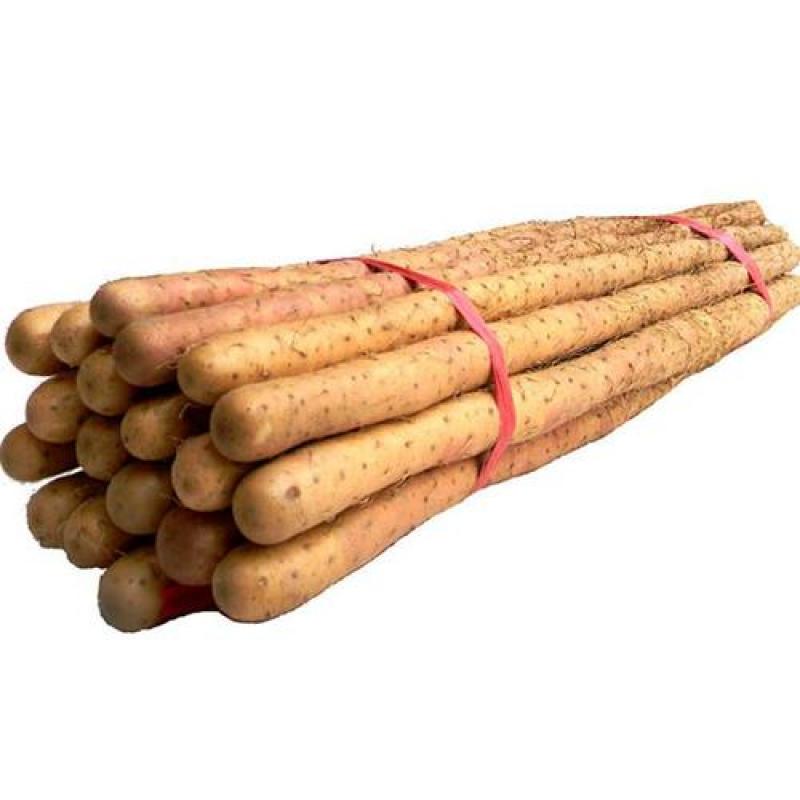 生鲜 铁棍山药500g（真空包装/无真空混发）/Iron stick yam 500g