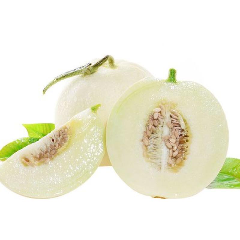生鲜 水果 白玉甜瓜 香瓜 约1-1.2kg/Little Melon White Jade Melon Xianggua