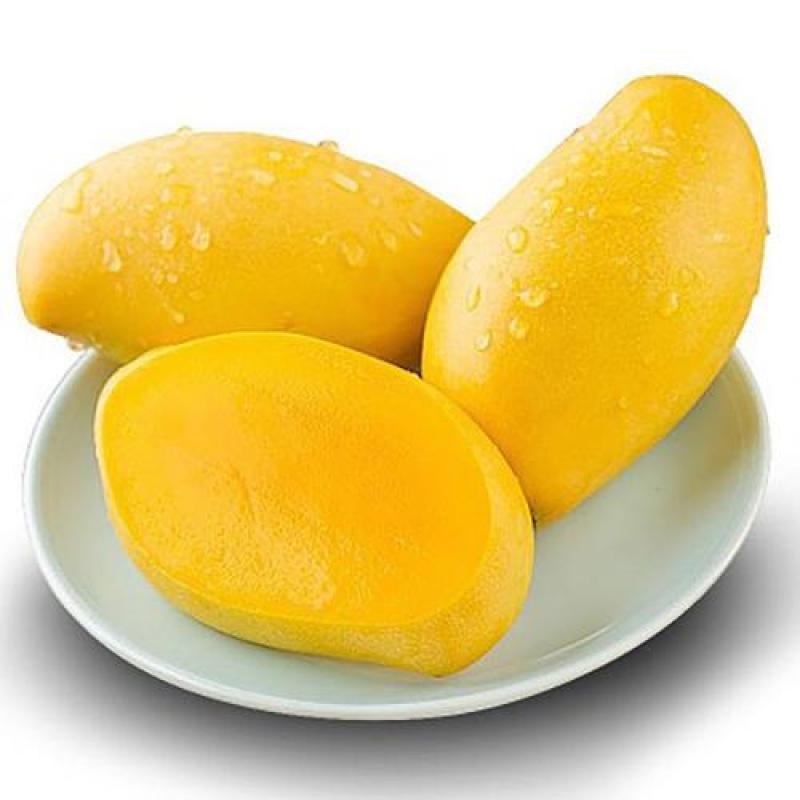 生鲜 水果 巴西芒果约500g/Brazil Mango