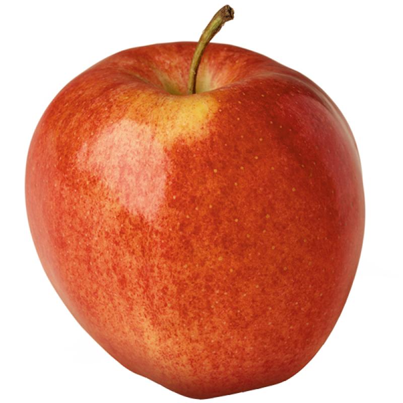 生鲜 水果 苹果 1kg/Gala Apple