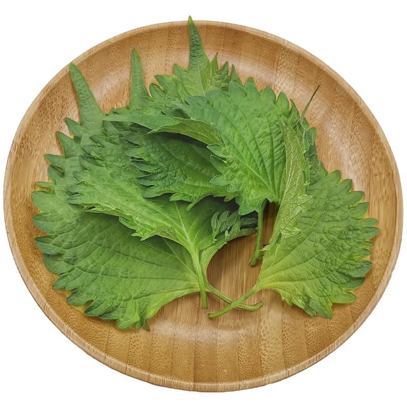 生鲜 蔬菜 绿紫苏叶 15片盒装/Shiso Leaves Green